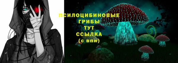 гидропоника Мегион