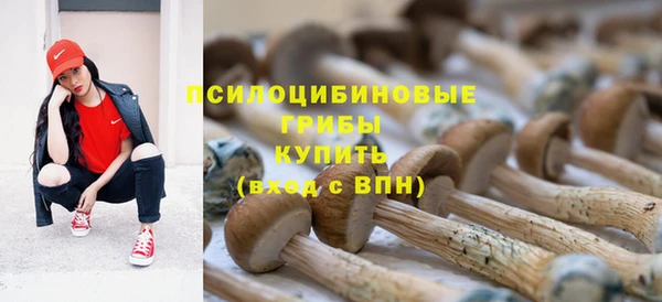 гидропоника Мегион