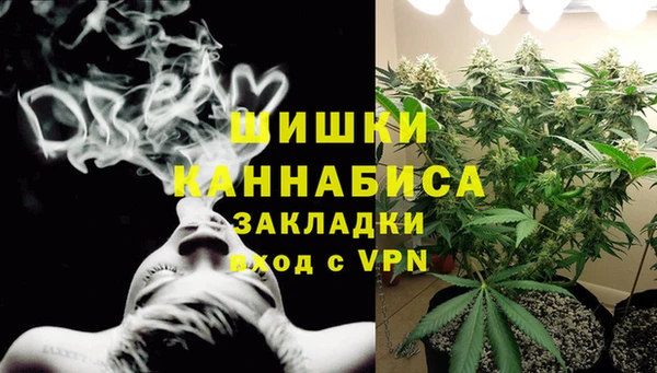 PSILOCYBIN Медвежьегорск