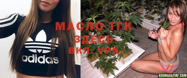 PSILOCYBIN Медвежьегорск