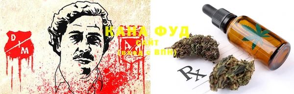 PSILOCYBIN Медвежьегорск